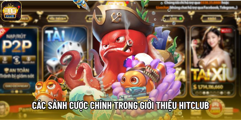 Các sảnh cược chính trong giới thiệu hitclub